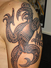 tattoo - gallery1 by Zele - tribal - 2013 05 DSC01993